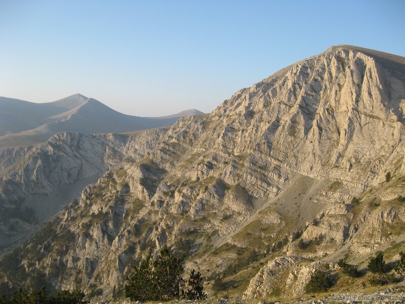 IMG_8699.jpg
