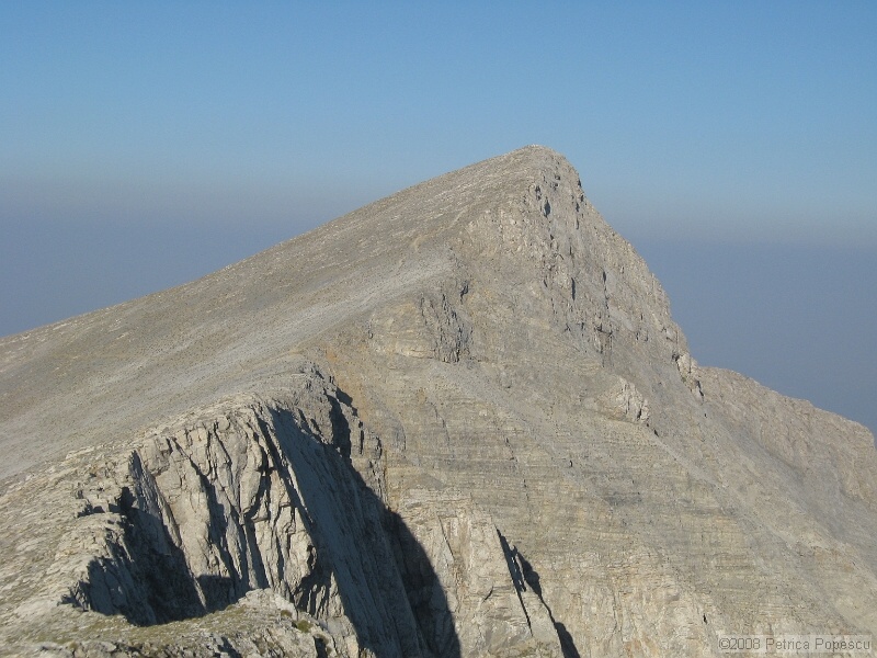 IMG_8703.jpg