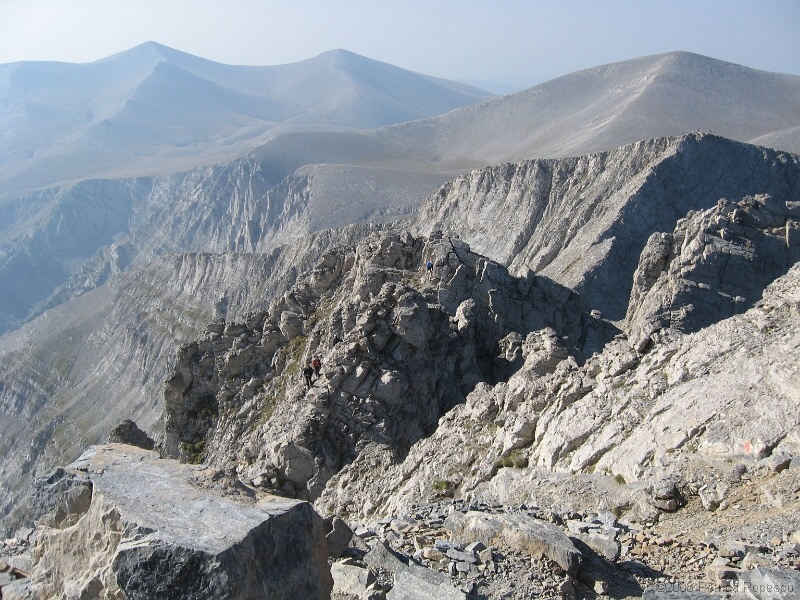 IMG_8705.jpg