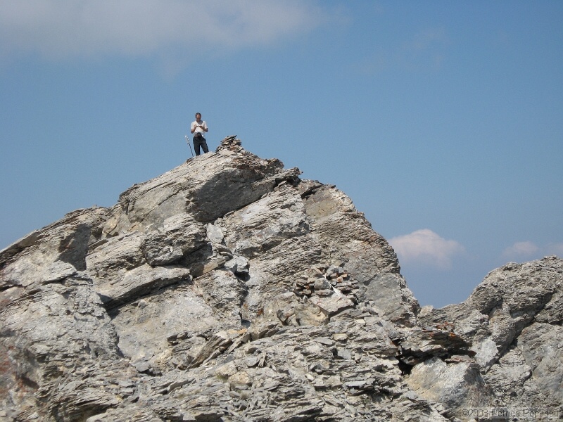 IMG_8711.jpg