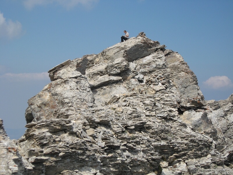IMG_8716.jpg