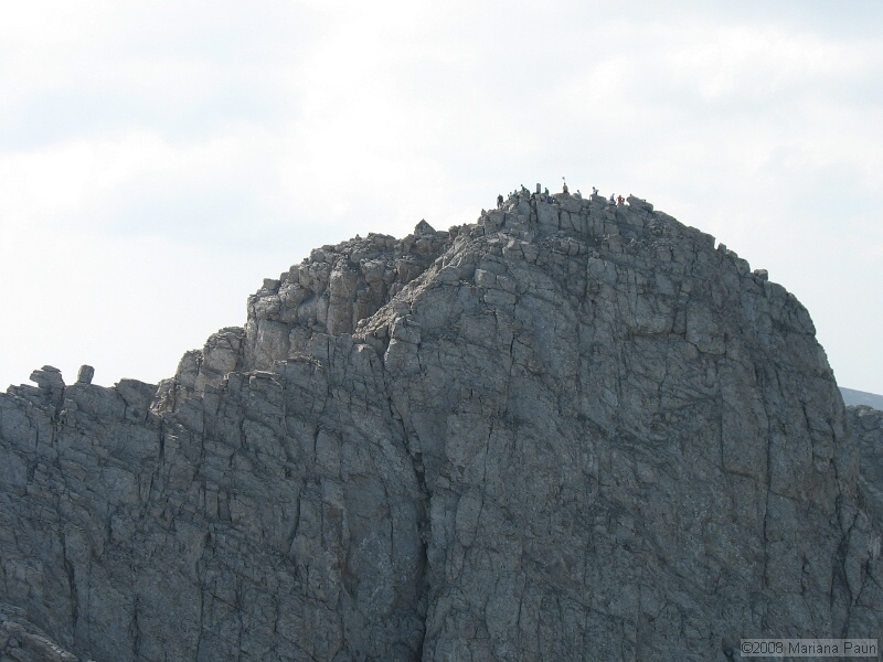 IMG_9814.jpg