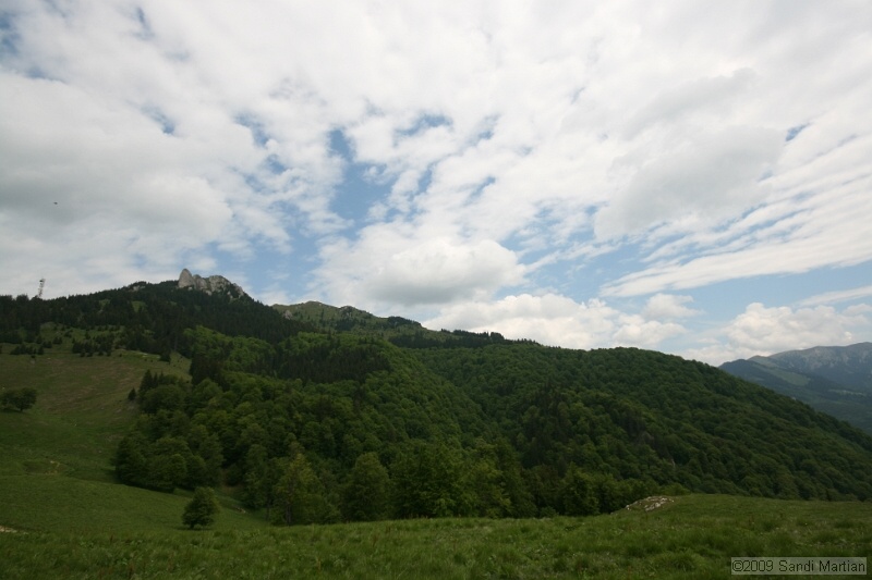 IMG_5056.jpg