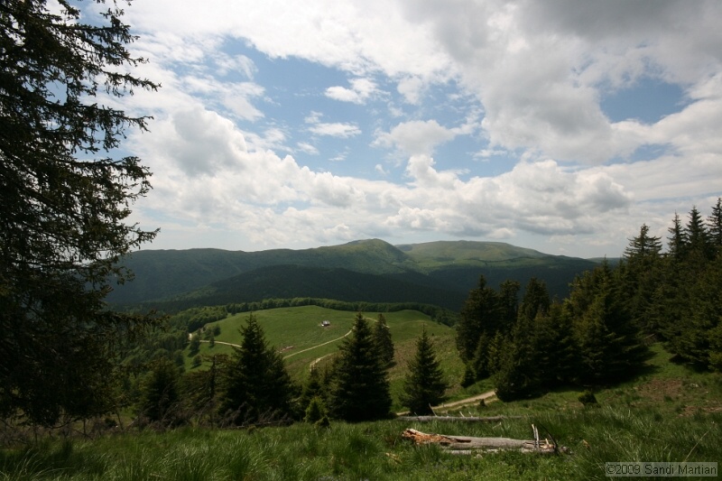 IMG_5070.jpg