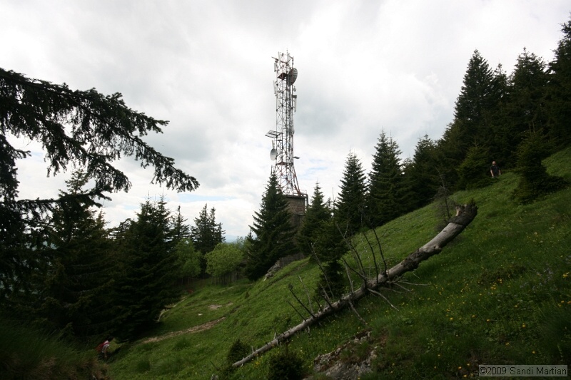 IMG_5075.jpg