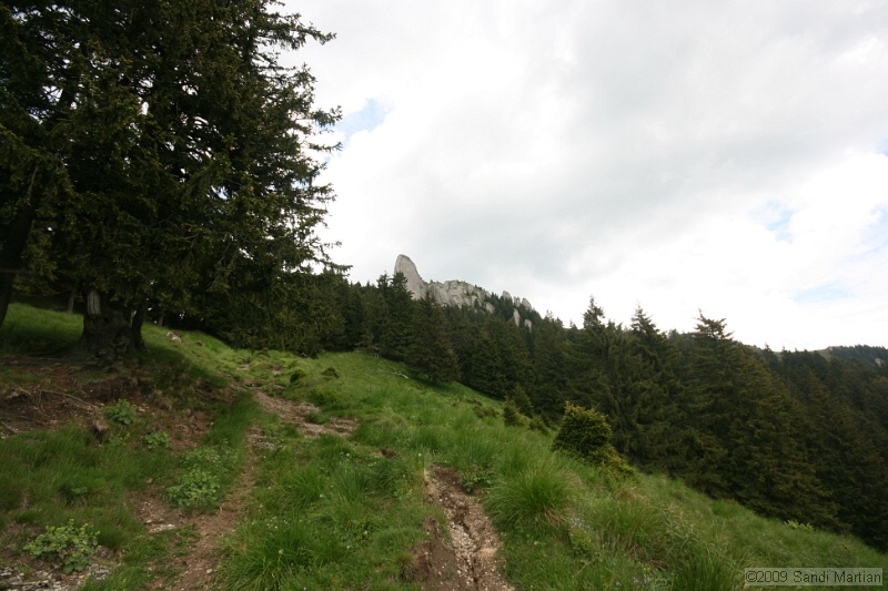 IMG_5079.jpg