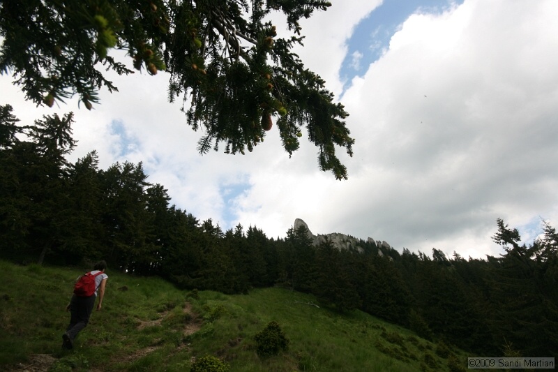 IMG_5082.jpg