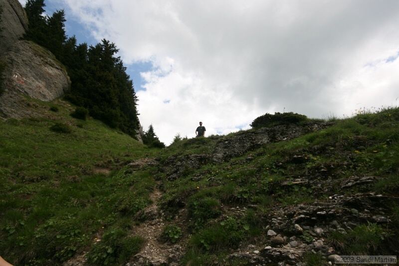 IMG_5085.jpg