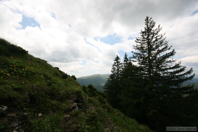 IMG_5090.jpg