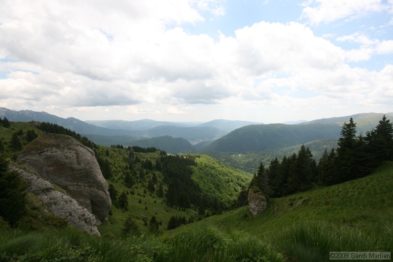 IMG_5099.jpg