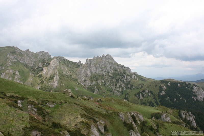 IMG_5134.jpg