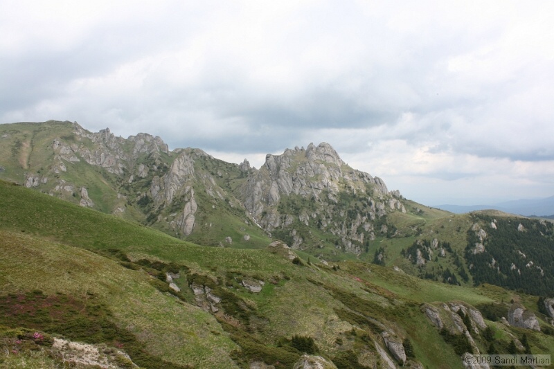 IMG_5139.jpg