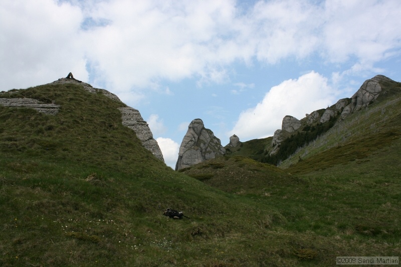 IMG_5155.jpg