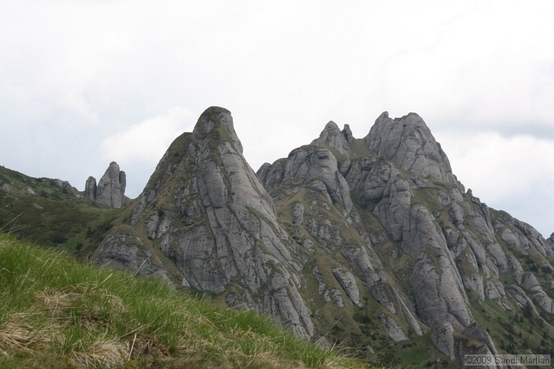 IMG_5164.jpg