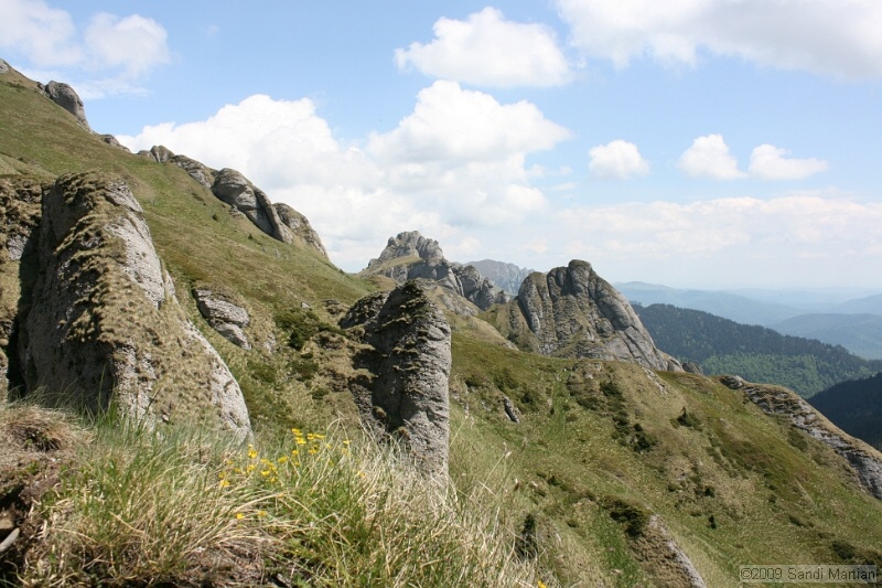 IMG_5171.jpg