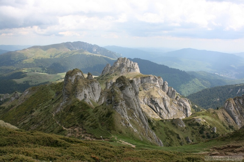 IMG_5186.jpg