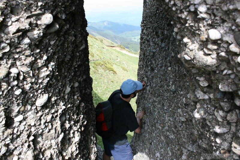 IMG_5216.jpg
