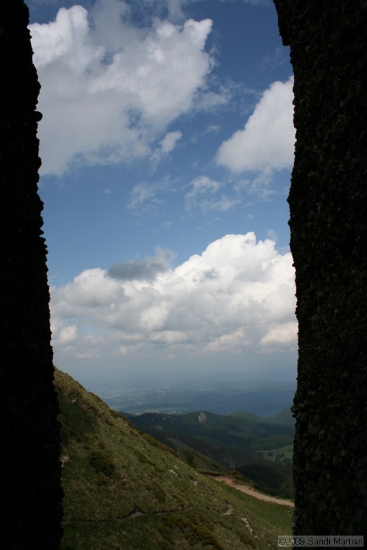 IMG_5221.jpg