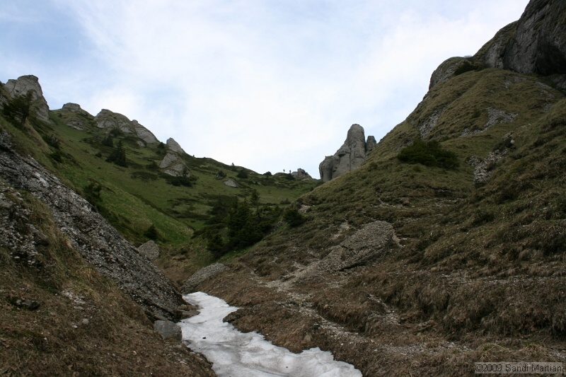 IMG_5242.jpg