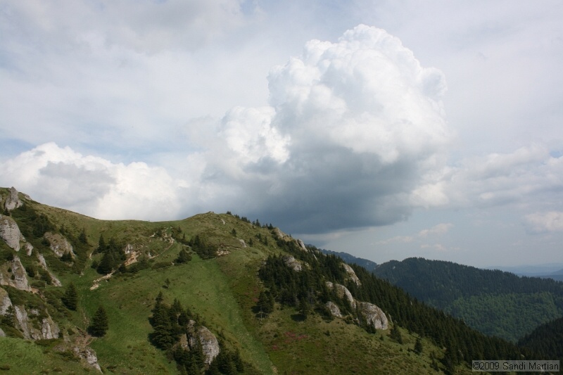 IMG_5257.jpg
