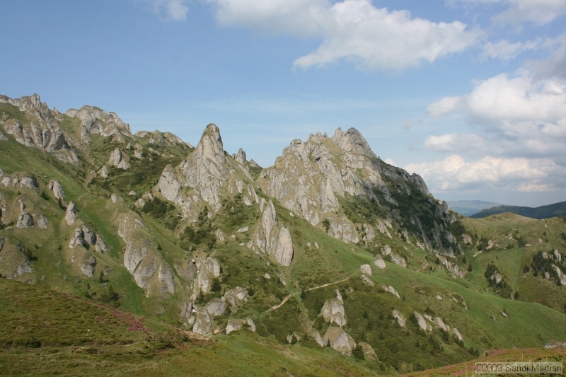 IMG_5258.jpg