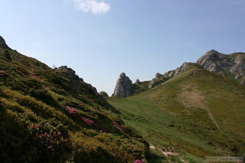 IMG_5273.jpg