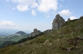IMG_5161