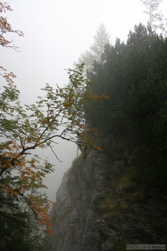 IMG_9734.jpg