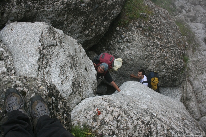 IMG_9750.jpg