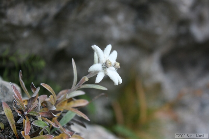 IMG_9853.jpg