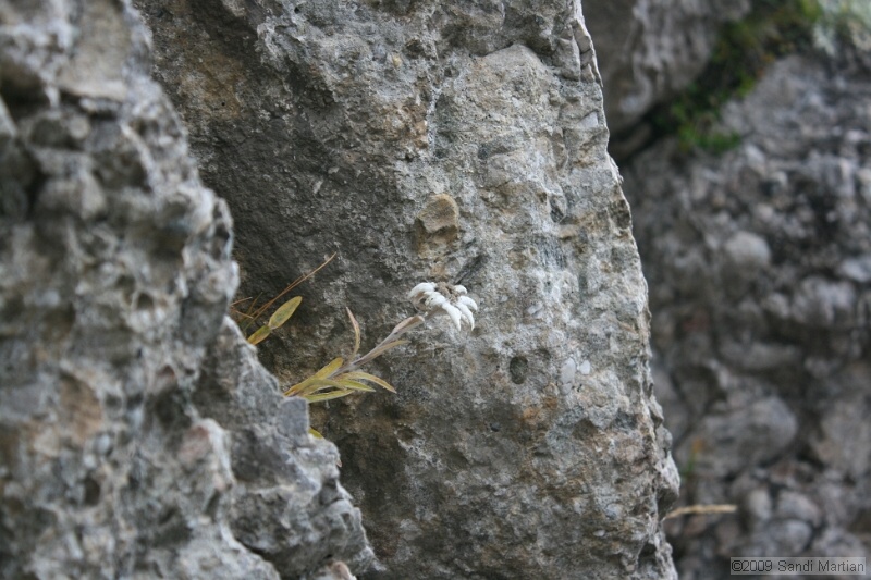 IMG_9857.jpg