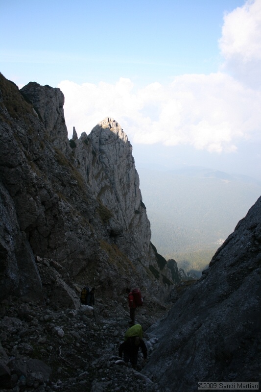 IMG_9954.jpg