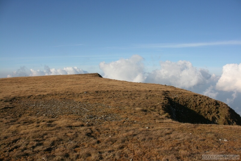 IMG_9967.jpg
