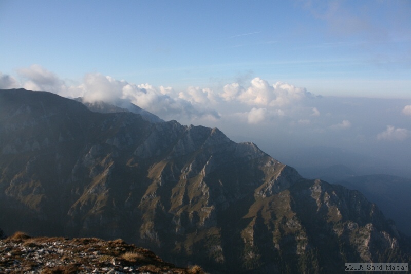 IMG_9986.jpg