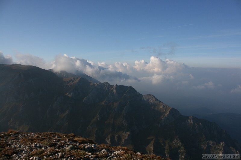 IMG_9995.jpg