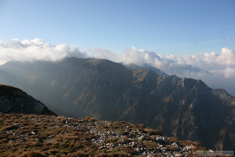 IMG_9998.jpg