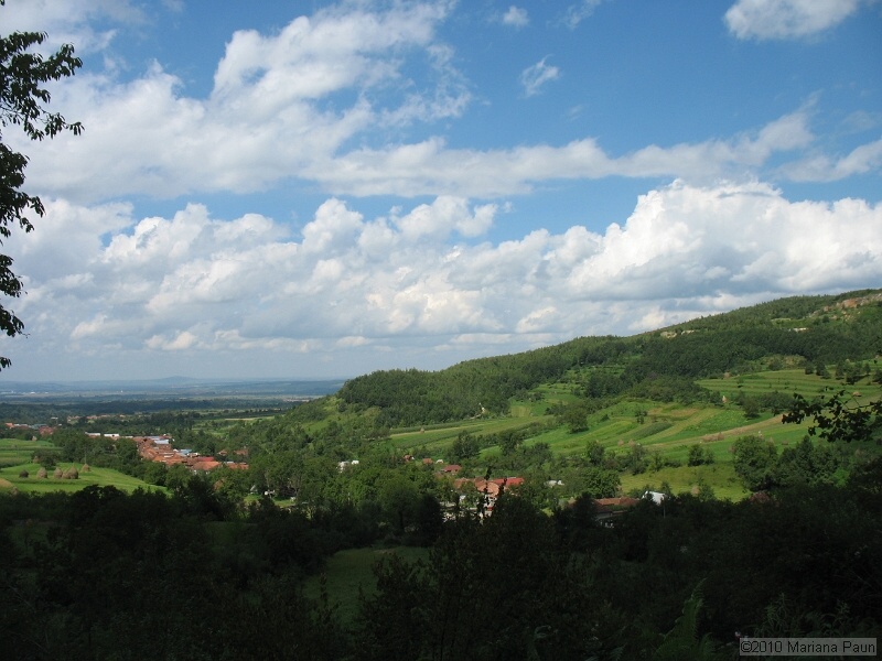 IMG_1721.jpg
