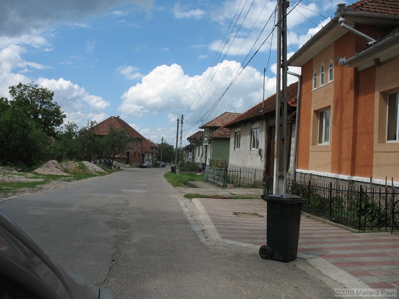 IMG_1734.jpg