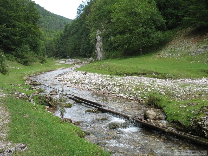 IMG_1746.jpg