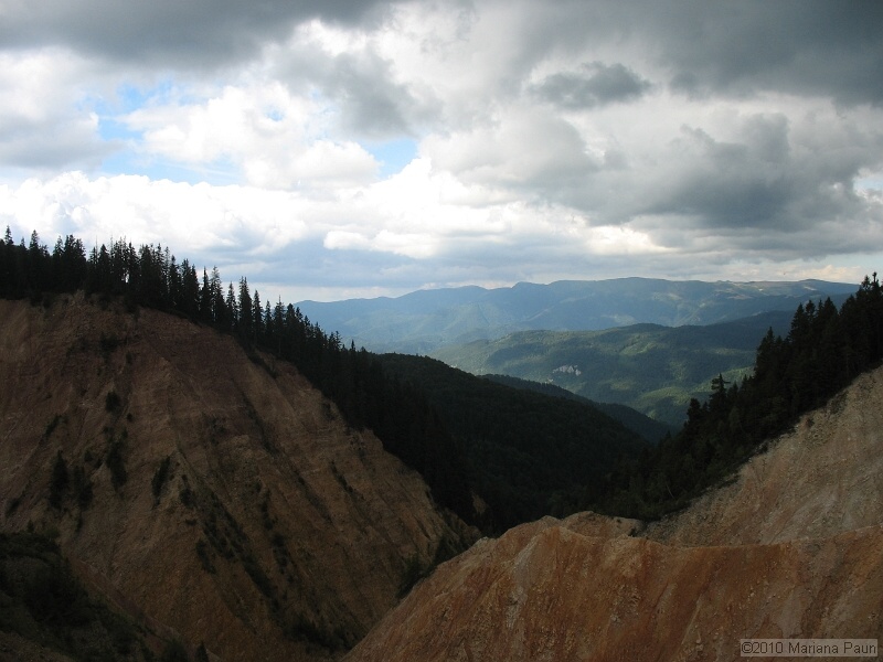 IMG_1766.jpg
