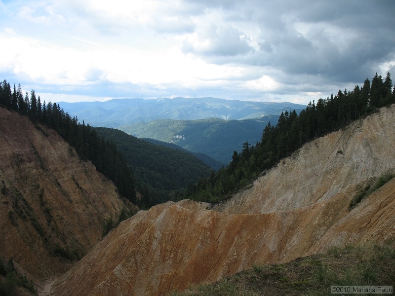 IMG_1777.jpg