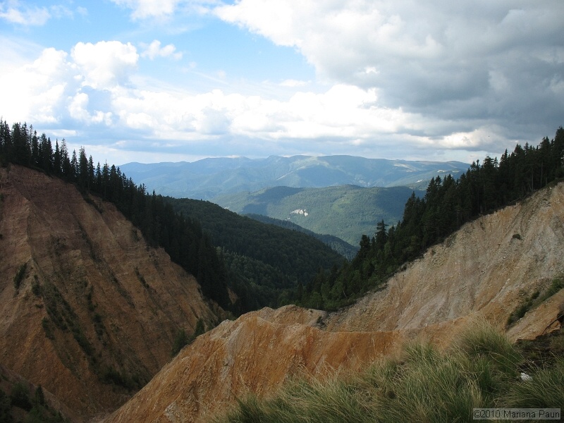 IMG_1783.jpg