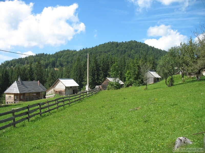IMG_1795.jpg