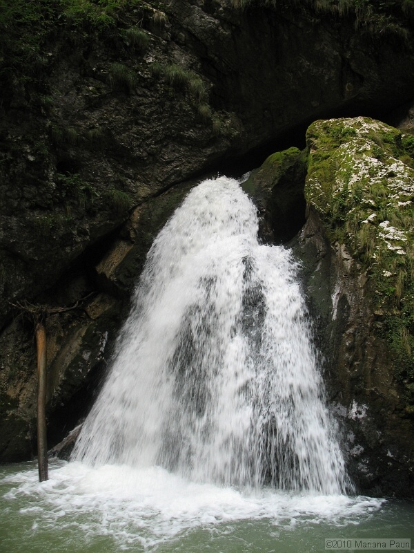 IMG_1815.jpg
