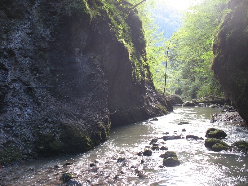 IMG_1843.jpg
