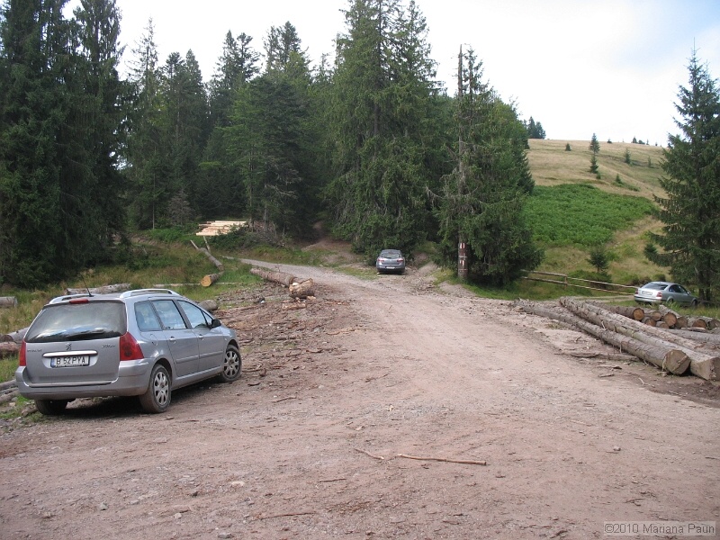 IMG_1865.jpg