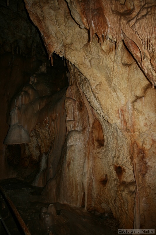 IMG_2476.jpg