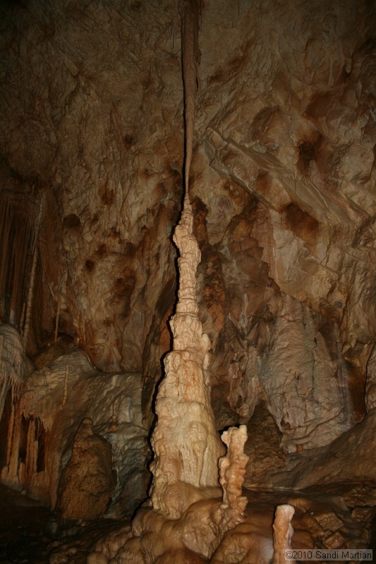 IMG_2509.jpg