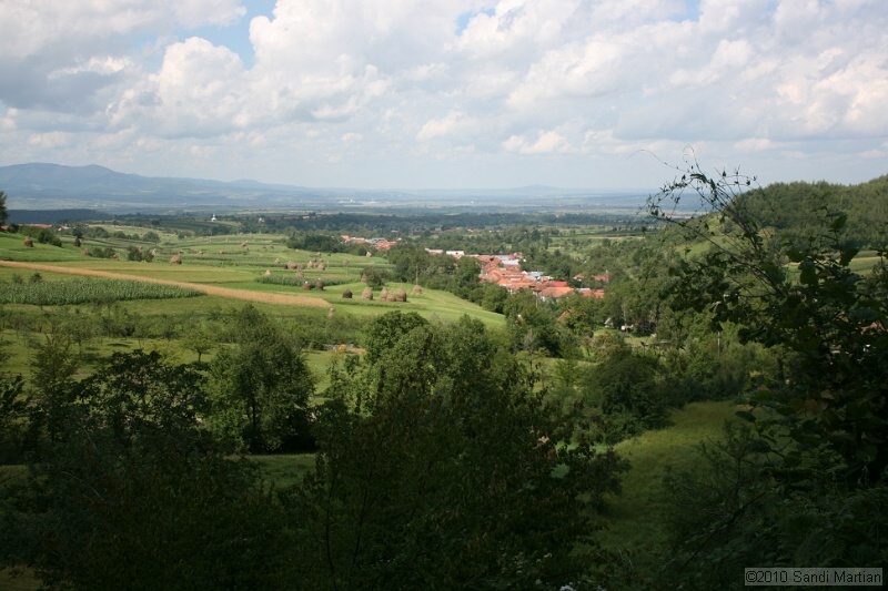 IMG_2580.jpg
