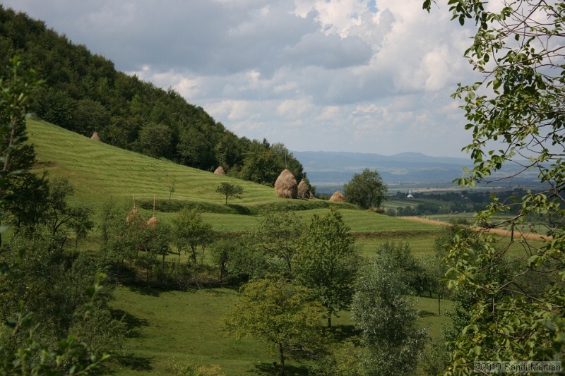 IMG_2583.jpg